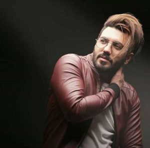 دانلود آهنگ محسن بهمنی زلف یار