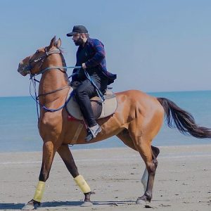 دانلود آهنگ دل به دل راه داره جذابی عشقم مسعود صادقلو
