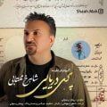 دانلود آهنگ شاهرخ مهتابی پری دریایی دانلود آهنگ شاهرخ مهتابی پری دریایی
