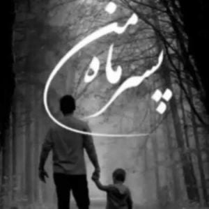 دانلود آهنگ خونه به دلگرمی تو گلخونه میشه علیرضا بیرانوند
