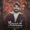 دانلود آهنگ هومن ایرانمنش نکنه فهمیدی دانلود آهنگ هومن ایرانمنش نکنه فهمیدی