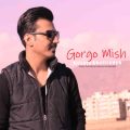 دانلود آهنگ علیرضا قلی زاده گرگ و میش دانلود آهنگ علیرضا قلی زاده گرگ و میش