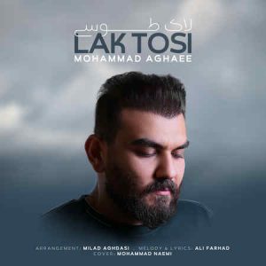 دانلود آهنگ محمد آقایی لاک طوسی دانلود آهنگ محمد آقایی لاک طوسی