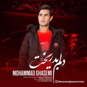 دانلود آهنگ محمد قاسمی دلم بد ریخت