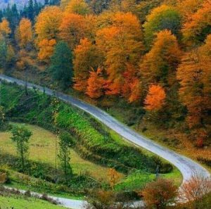 دانلود آهنگ شمالی های لیلی لیلی لیلی