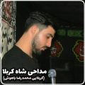 دانلود مداحی کربلایی محمدرضا باهوش شاه کربلا
