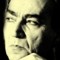 دانلود آهنگ نخواب آروم گل بی خار و بی کینه شهیار قنبری