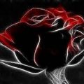 دانلود آهنگ زیبای وحشی