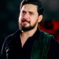 دانلود مداحی فرحان علی وارث سکینه جان دانلود مداحی فرحان علی وارث سکینه جان