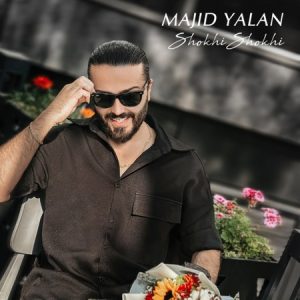 دانلود آهنگ مجید یلان شوخی شوخی دانلود آهنگ مجید یلان شوخی شوخی