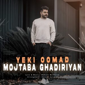 دانلود آهنگ مجتبی غدیریان یکی اومد دانلود آهنگ مجتبی غدیریان یکی اومد