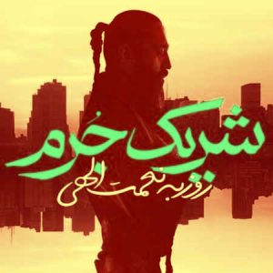 دانلود آهنگ روزبه نعمت الهی شریک جرم