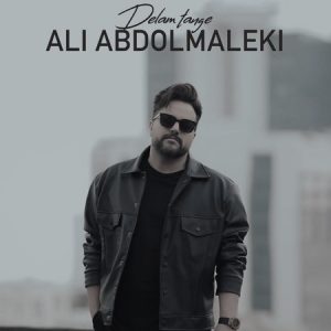 دانلود آهنگ علی عبدالمالکی دلم تنگه