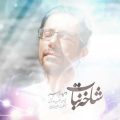 دانلود آهنگ وحید رهبر شاخه نبات دانلود آهنگ وحید رهبر شاخه نبات