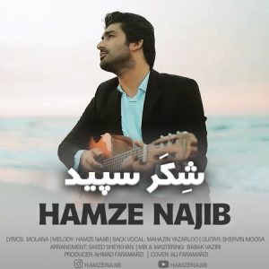 دانلود آهنگ حمزه نجیب شکر سپید دانلود آهنگ حمزه نجیب شکر سپید