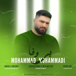 دانلود آهنگ محمد محمدی بی وفا