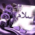 دانلود آهنگ میاره دوتا پیک جلو روم هی میگه سلام سلام آرکو