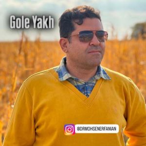 دانلود آهنگ محسن عرفانیان گل یخ دانلود آهنگ محسن عرفانیان گل یخ