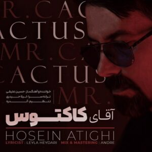دانلود آهنگ حسین عتیقی آقای کاکتوس دانلود آهنگ حسین عتیقی آقای کاکتوس
