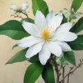 دانلود آهنگ تو پرستار زمین گروه سرود شمیم یاس دانلود آهنگ تو پرستار زمین گروه سرود شمیم یاس