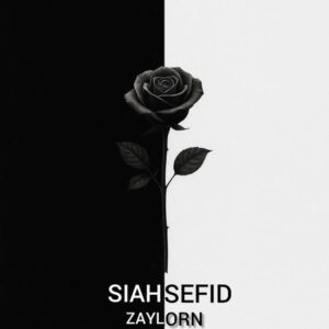 دانلود آهنگ یاسین کرمی سیاه سفید