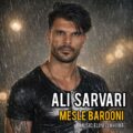 دانلود آهنگ علی سروری مثل بارونی دانلود آهنگ علی سروری مثل بارونی
