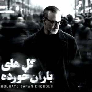 دانلود آهنگ علیرضا قربانی گل های باران خورده دانلود آهنگ علیرضا قربانی گل های باران خورده