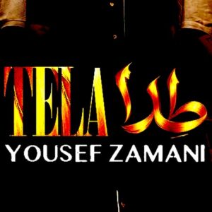 دانلود آهنگ یوسف زمانی طلا